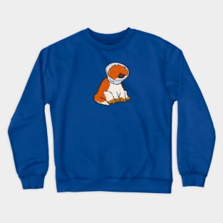 Barkley's Cone of Shame Crewneck Sweatshirt